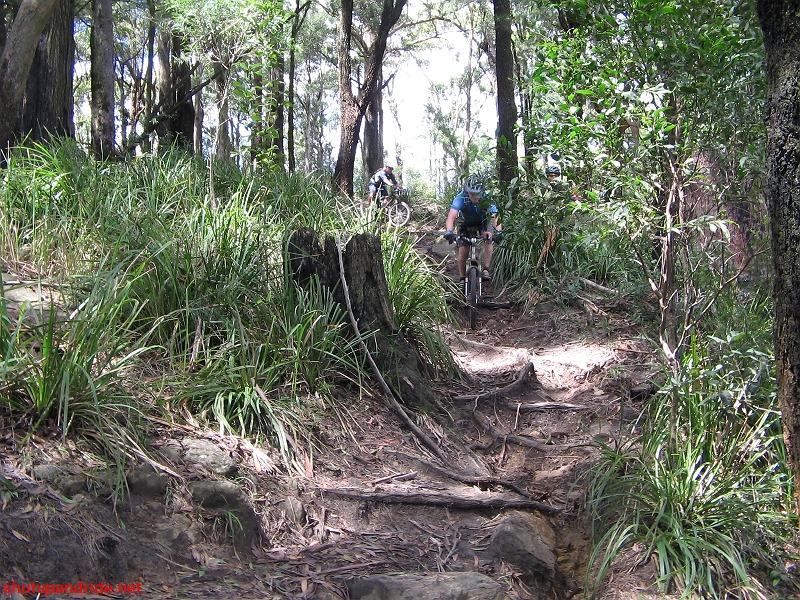20080210-Bulli 055 
